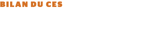 BILAN DU CES